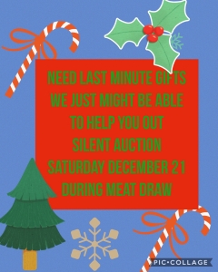 2019 12 08 Silent Auction IMG_1706[7709]